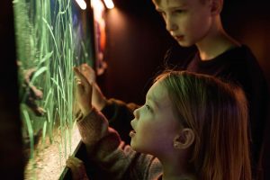 Herfst winter vissen aquarium AquaZoo Leeuwarden